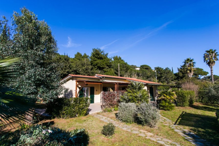 Owners abroad Straccoligno