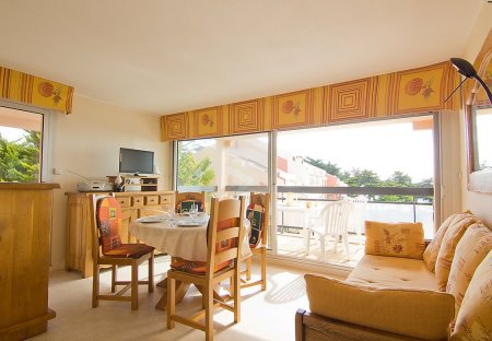Apartment in Birochère-Joselière, France