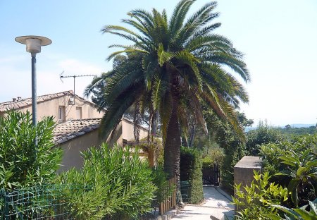 House in La Croix-Valmer, the South of France