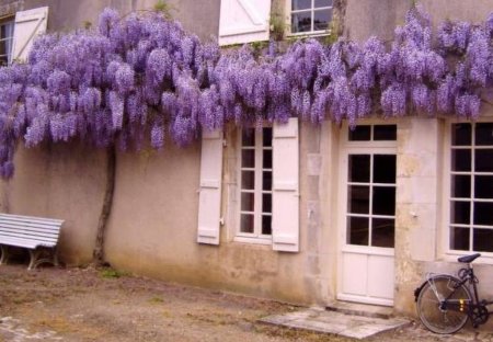 House in Vouvant, France