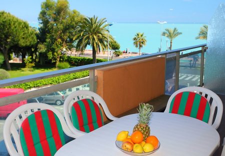 Apartment in Le Cros de Cagnes, the South of France