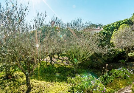 Villa in Fonte Boa dos Nabos, Lisbon Metropolitan Area