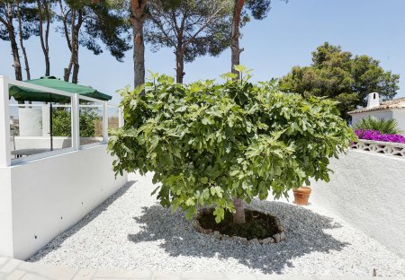 Villa in La Pedrera, Spain