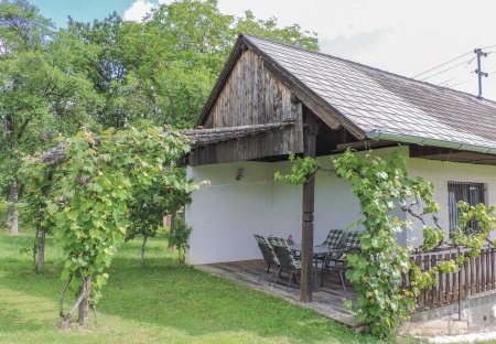 Chalet in Edlitz, Austria
