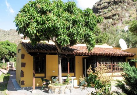 Apartment in Maria Jimenez, Tenerife