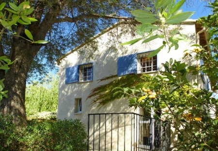 Villa in Calvi, Corsica