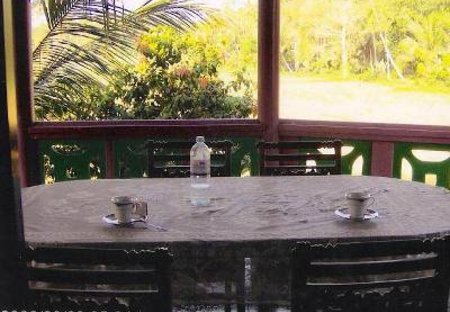 Apartment in Hikkaduwa, Sri Lanka: View across the surrounding paddy fields