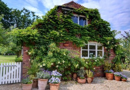 Cottage in Rolvenden, England