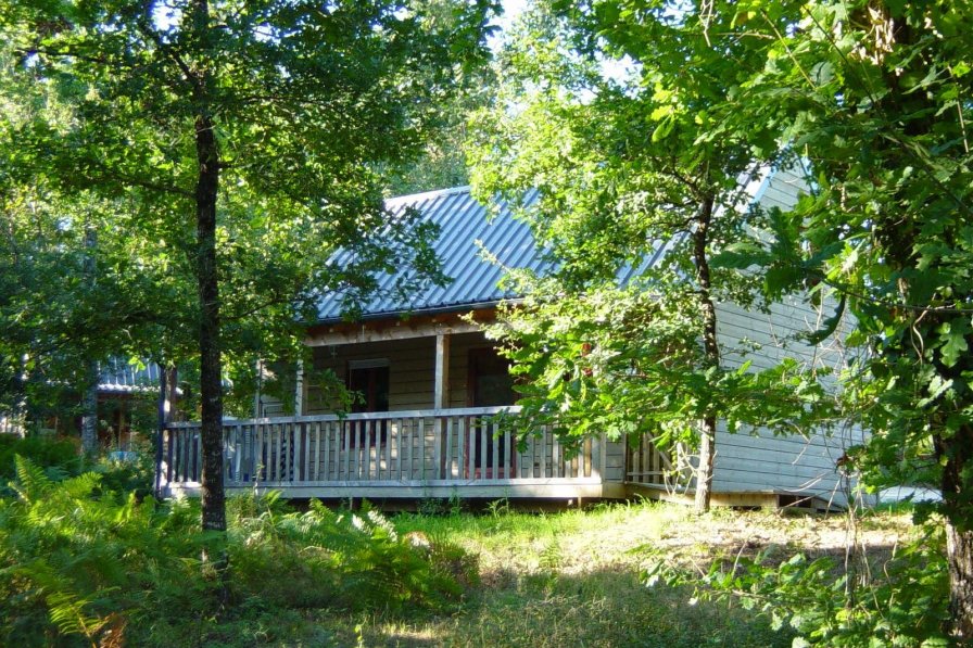 Owners abroad Castelwood - Dordogne