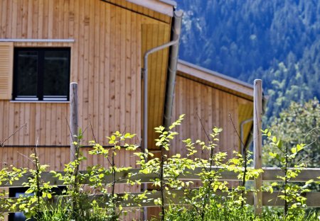 Villa in St. Gallenkirch, Austria