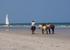 Horse Riding along Hua Hin Beach