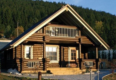 Chalet in Ravna Gora, Croatia