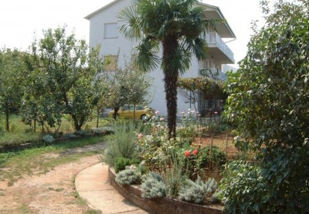 Apartment in Radići (Krk), Croatia
