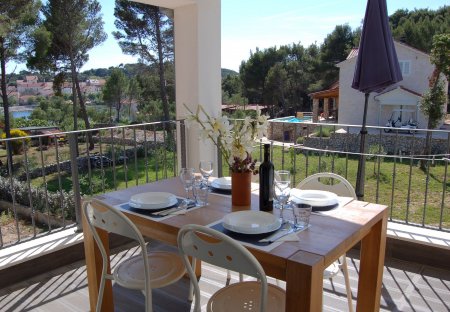 Apartment in Verunić, Croatia