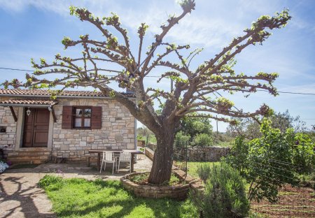 House in Bale, Croatia