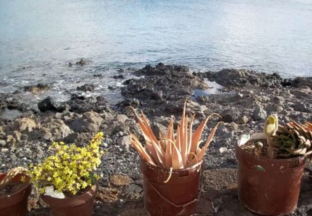 Apartment in Arrecife Centro, Lanzarote