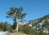 Places to visit in Paphos region. Troodos mountains.