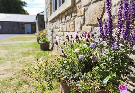 Cottage in Chatton, England