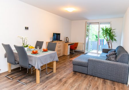 Apartment in Ljubljana Center, Slovenia