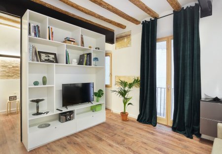 Apartment in El Raval, Spain