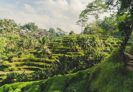 Villa in Mengwi, Bali