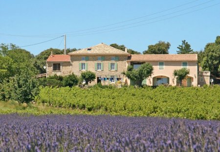 House in Visan, the South of France