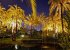 5* Club Playas del Duque gardens by night