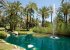 Lily ponds, fountains & streams amongst the palm trees