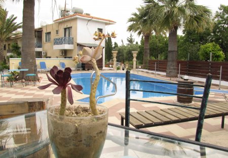 Apartment in Polis Chrysochous, Cyprus
