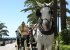 Take a carriage ride in Marbella