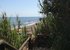 Local Beach