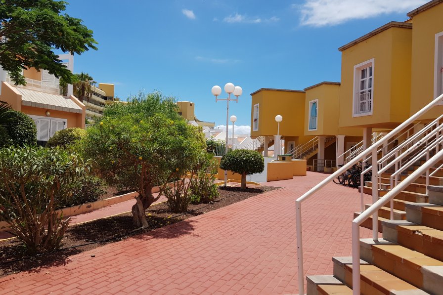 Apartment to rent in Torviscas Bajo, Tenerife with shared pool 306589