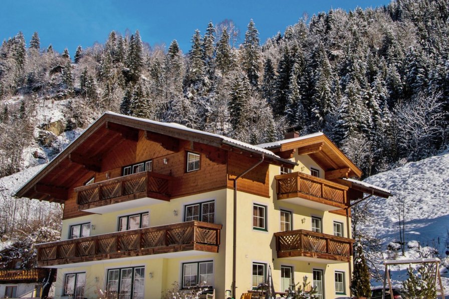 Owners abroad Grossarl Brigitte