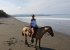 Beach & countryside horse trekking from Casa Zenn, ask for info.