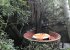 Onsite restaurant with "birds nest" tables set in the trees
