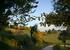 Grounds in June