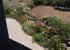 View of the back garden from the apartment.