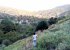 Moka valley, Maraval