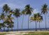Maracas beach