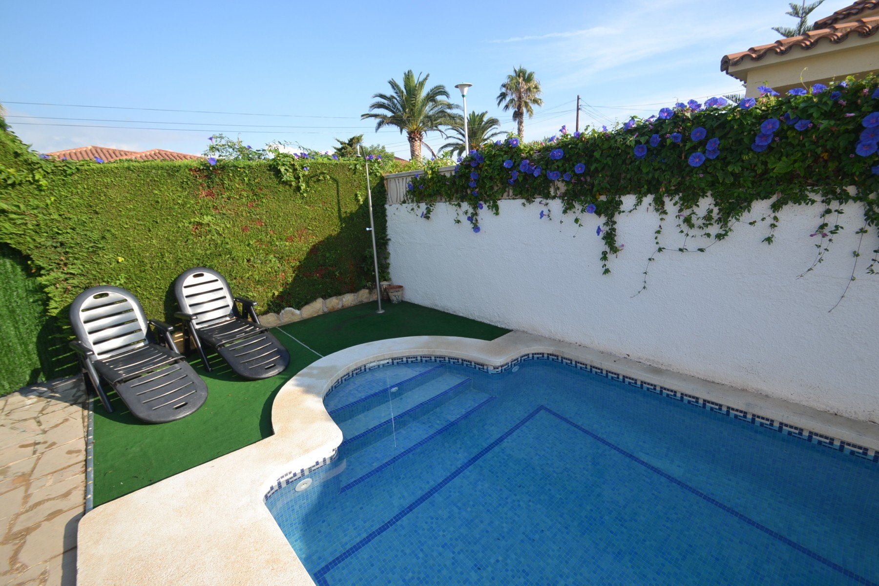 Picture of villa