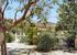 Another view of the garden: overlooking the pool area
