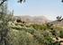 View of mountains from Finca La Casilla