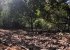 Our farm