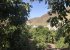 Views of the village from our farm