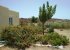 our garden is growing (western side)