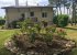 The garden