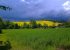 Local countryside