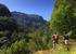 São Jorge Ribeiro Bonito Levada walk at 10 minutes from the house