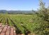 Views from the first floor over the vineyards and Luberon mountains.