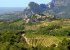 Dentelles de Montmirail.